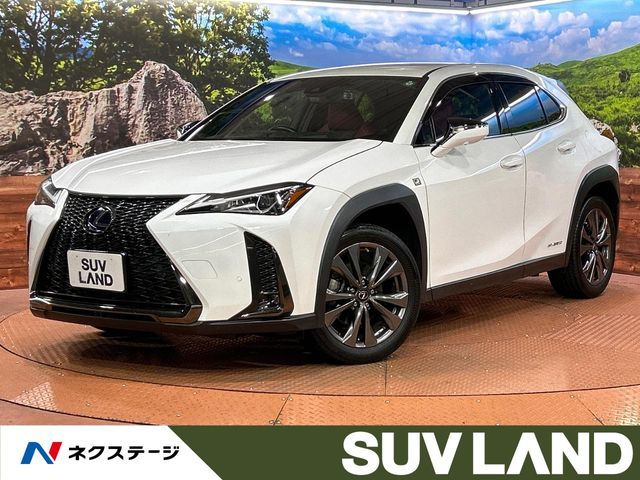 TOYOTA LEXUS UX250h 2021