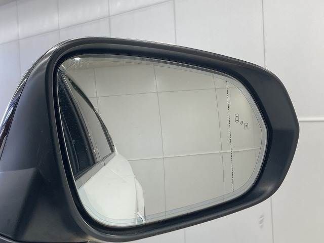 TOYOTA LEXUS NX300h 2015