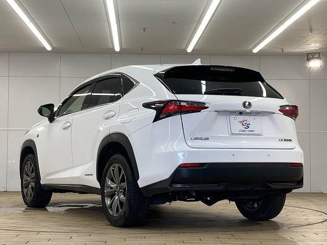 TOYOTA LEXUS NX300h 2015