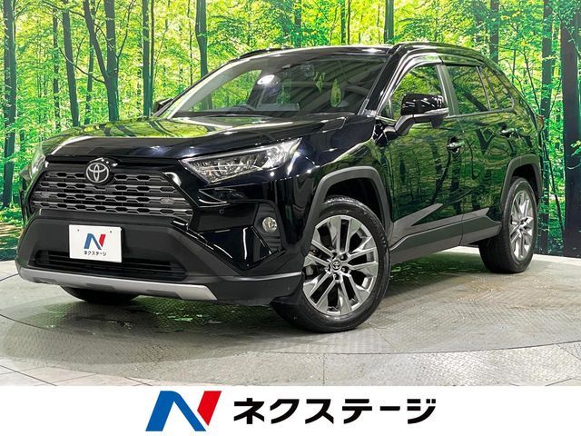 TOYOTA RAV4 4WD 2019