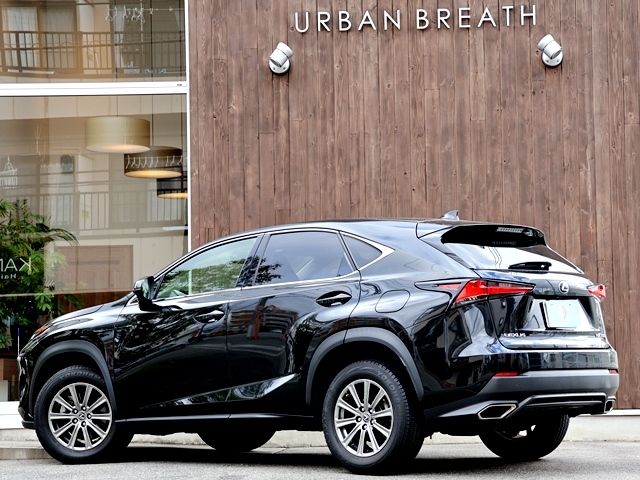 TOYOTA LEXUS NX300 2018