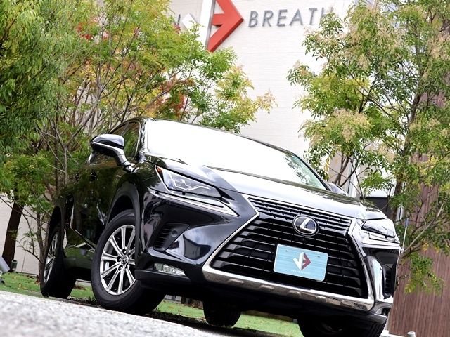 TOYOTA LEXUS NX300 2018