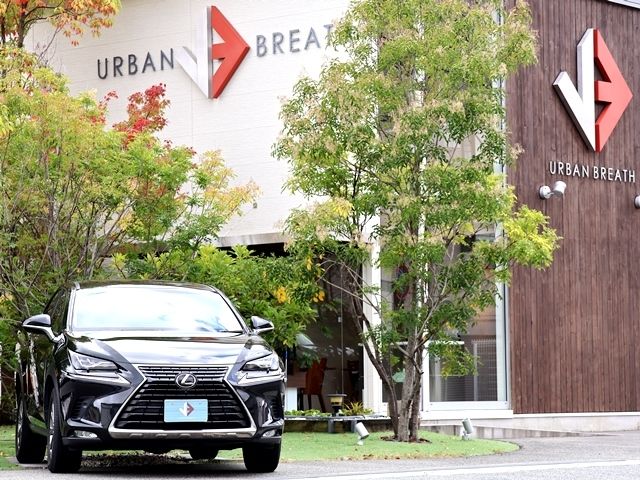 TOYOTA LEXUS NX300 2018