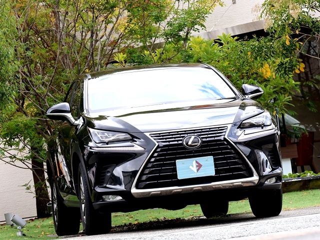 TOYOTA LEXUS NX300 2018