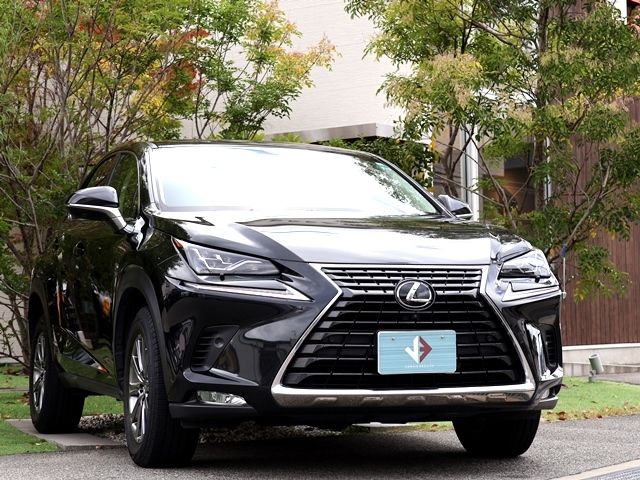 TOYOTA LEXUS NX300 2018