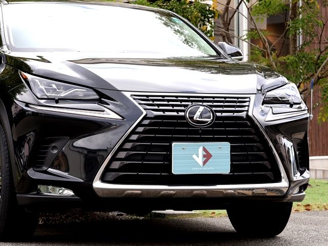 TOYOTA LEXUS NX300 2018