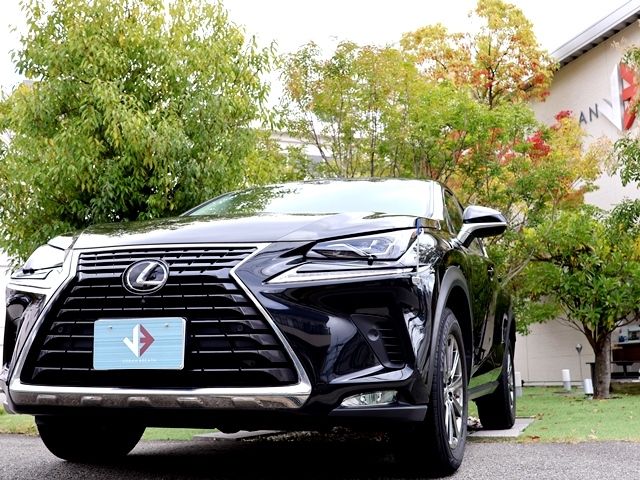 TOYOTA LEXUS NX300 2018