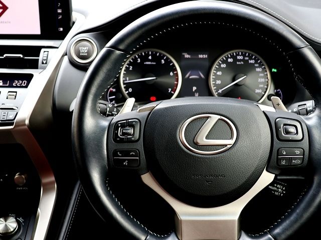 TOYOTA LEXUS NX300 2018