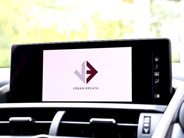 TOYOTA LEXUS NX300 2018