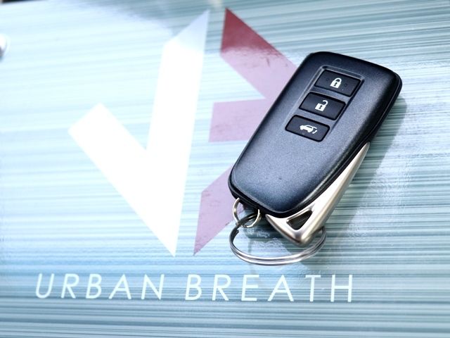 TOYOTA LEXUS NX300 2018