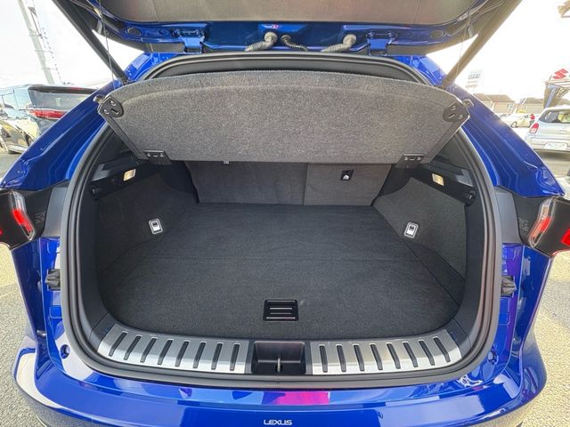 TOYOTA LEXUS NX300 2019