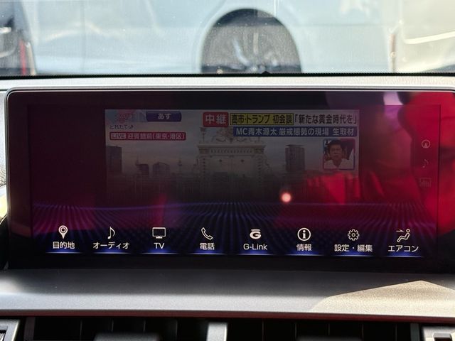 TOYOTA LEXUS NX300 2019