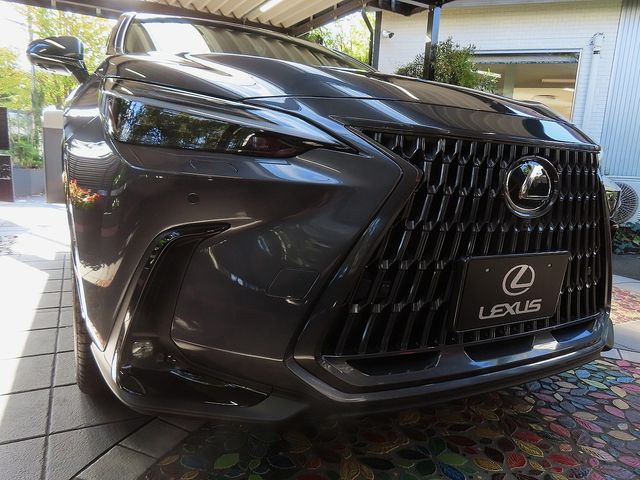 TOYOTA LEXUS NX350h 2025