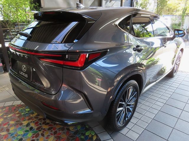 TOYOTA LEXUS NX350h 2025
