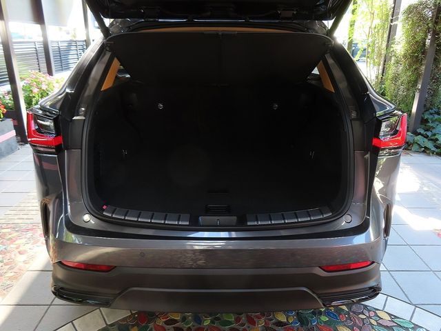 TOYOTA LEXUS NX350h 2025