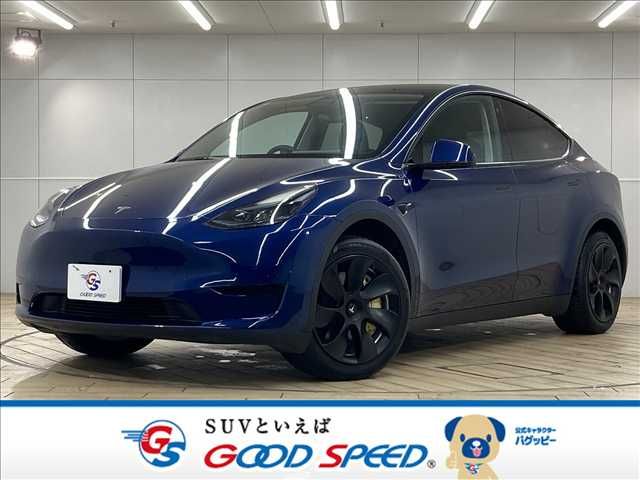 TESLA TESLA MODEL Y 2022