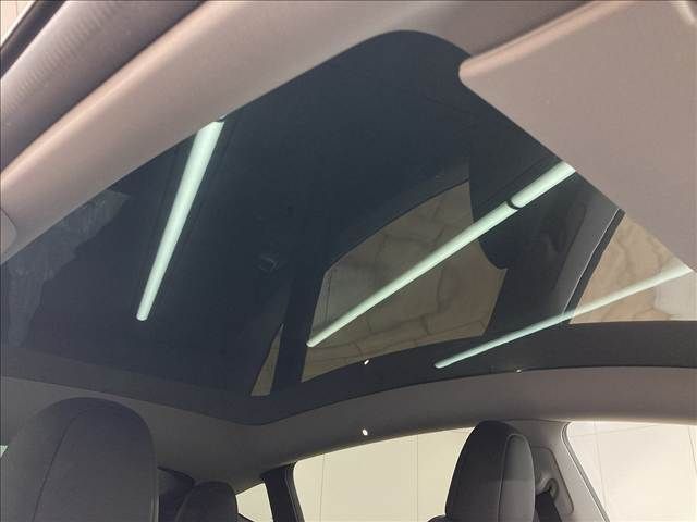 TESLA TESLA MODEL Y 2022