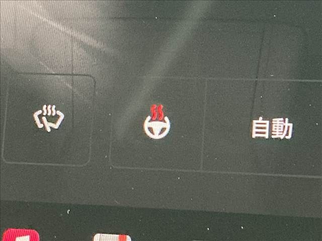 TESLA TESLA MODEL Y 2022