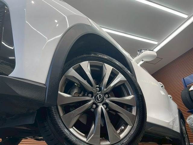 TOYOTA LEXUS UX250h 2022