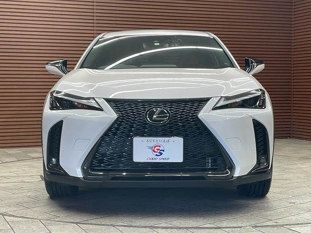 TOYOTA LEXUS UX250h 2022