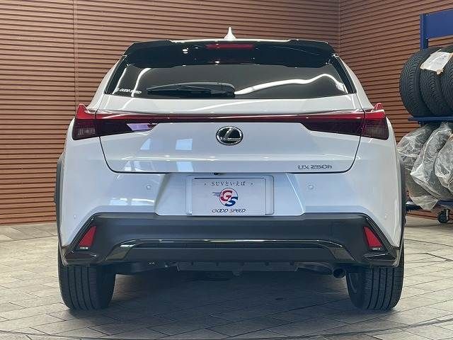 TOYOTA LEXUS UX250h 2022