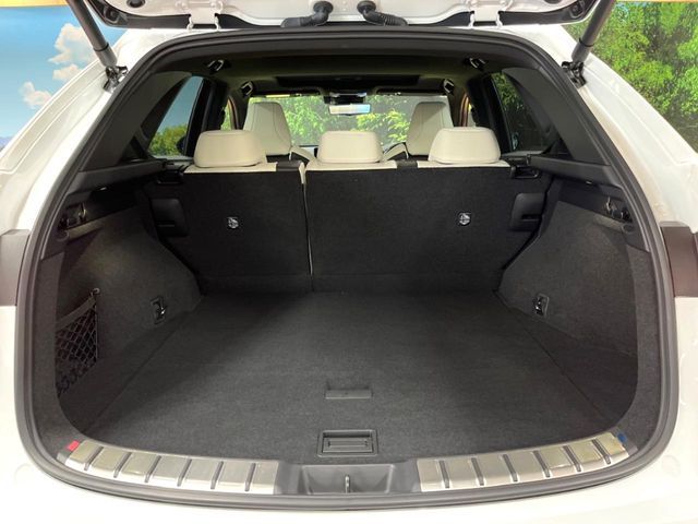 TOYOTA LEXUS NX350h 2023