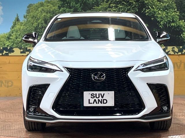 TOYOTA LEXUS NX350h 2023