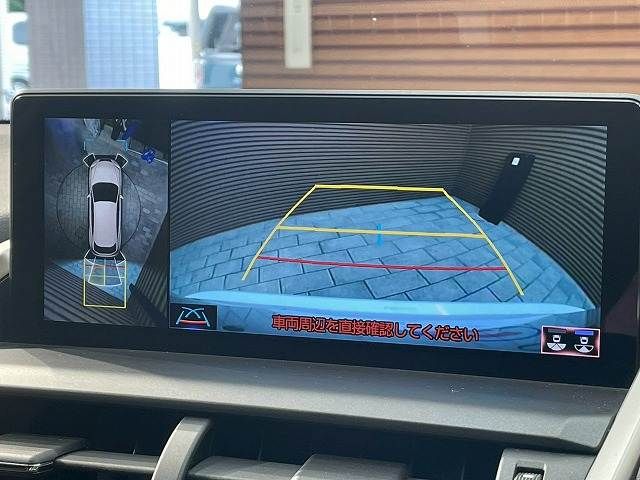 TOYOTA LEXUS NX300h 2020