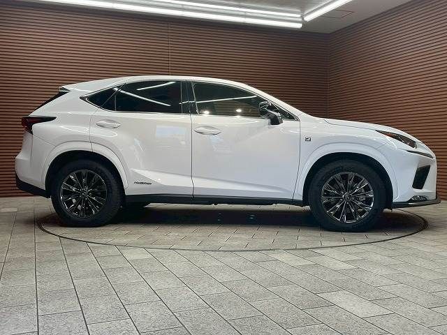 TOYOTA LEXUS NX300h 2020