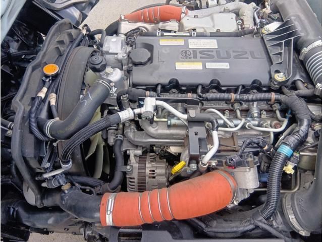 ISUZU ELF 2019