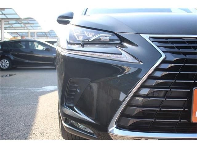 TOYOTA LEXUS NX300h 2019