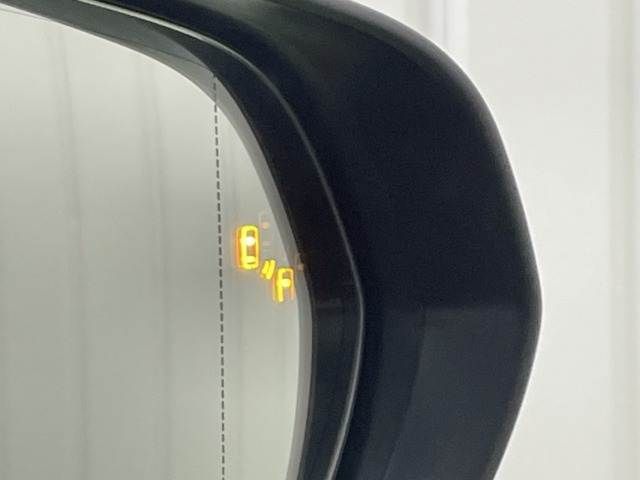 TOYOTA LEXUS RX300 2020