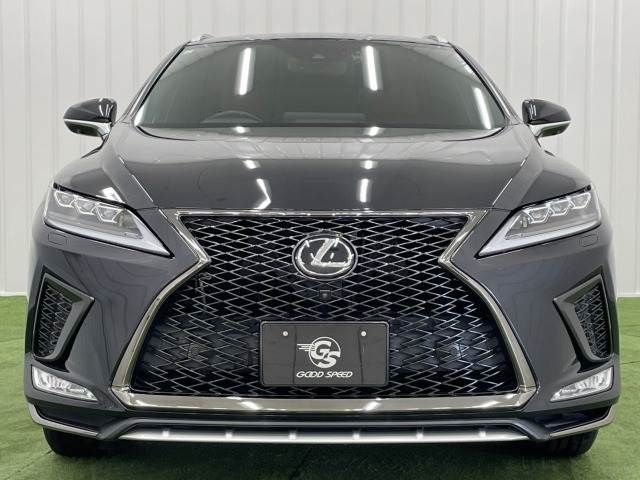 TOYOTA LEXUS RX300 2020