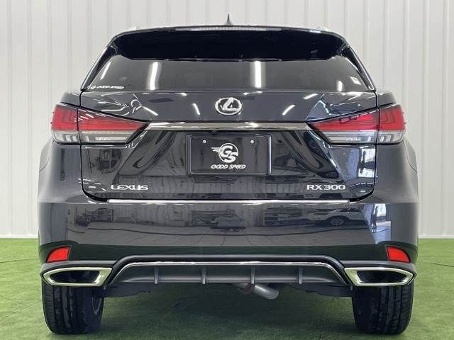 TOYOTA LEXUS RX300 2020