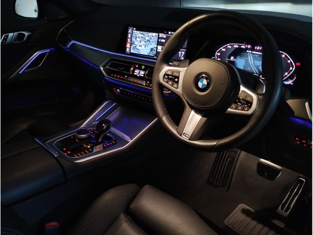 BMW BMW X6 2021