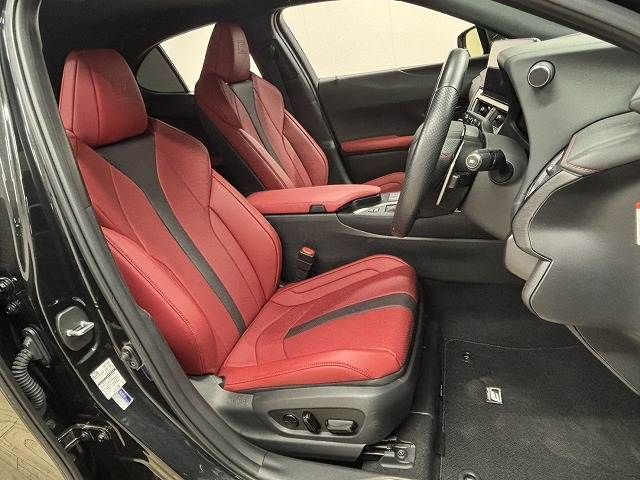 TOYOTA LEXUS UX250h 2022