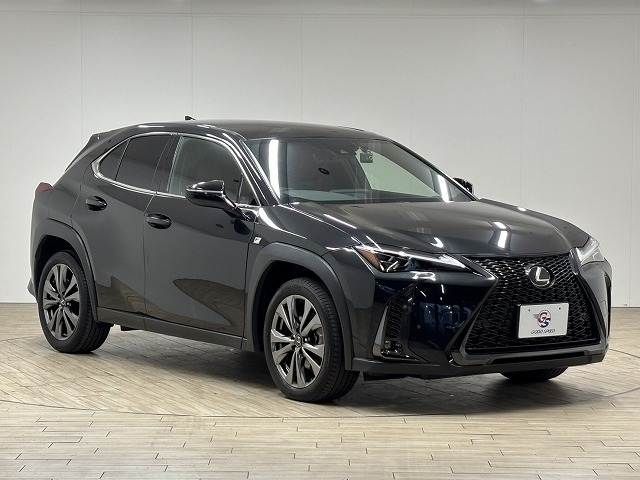 TOYOTA LEXUS UX250h 2022