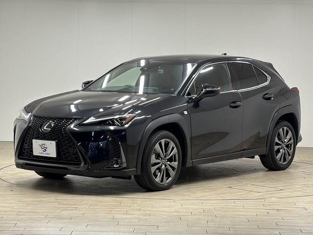 TOYOTA LEXUS UX250h 2022