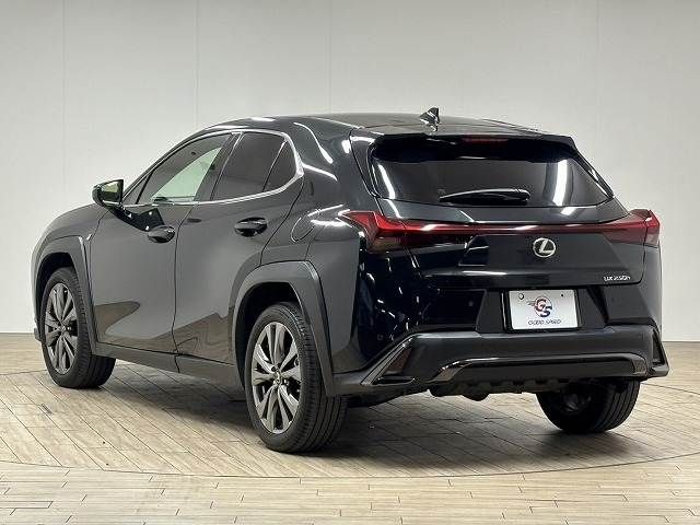 TOYOTA LEXUS UX250h 2022