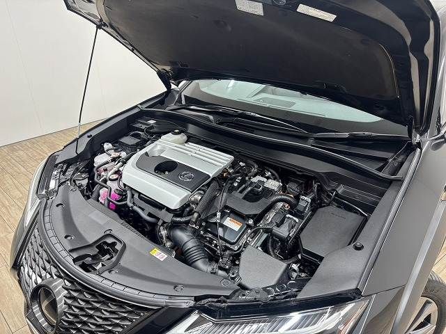TOYOTA LEXUS UX250h 2022