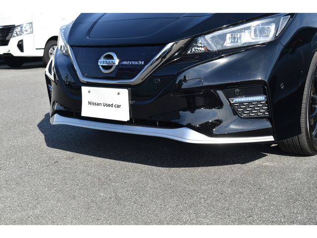 NISSAN LEAF 2019