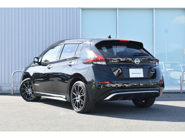 NISSAN LEAF 2019
