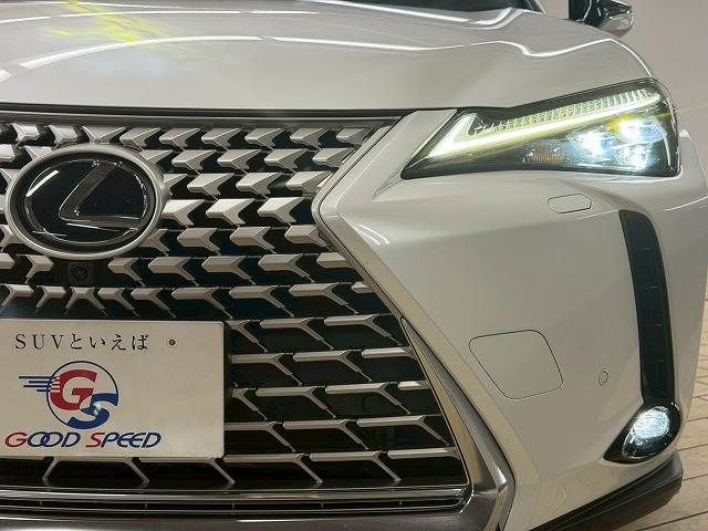 TOYOTA LEXUS UX250h 2023