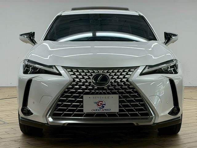 TOYOTA LEXUS UX250h 2023