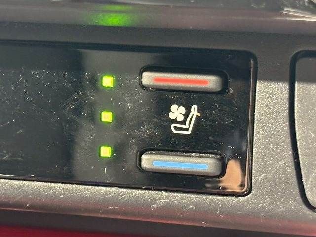 TOYOTA RAV4 4WD 2023