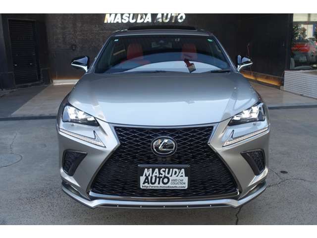 TOYOTA LEXUS NX300 2018