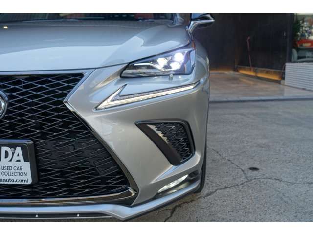 TOYOTA LEXUS NX300 2018