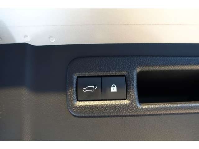 TOYOTA LEXUS NX300 2018