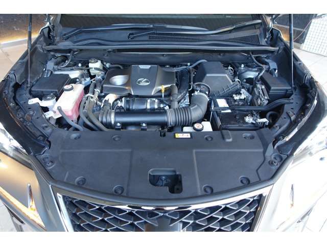 TOYOTA LEXUS NX300 2018