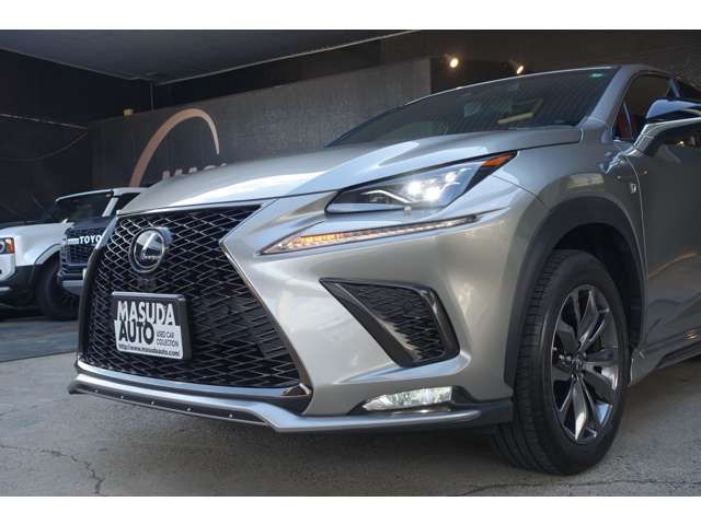 TOYOTA LEXUS NX300 2018